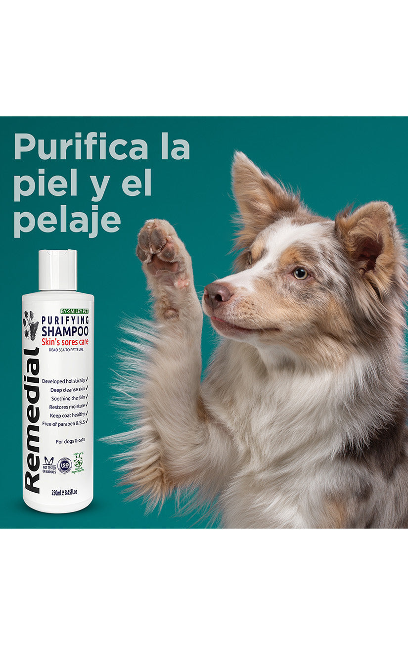 Remedial - Champú purificante