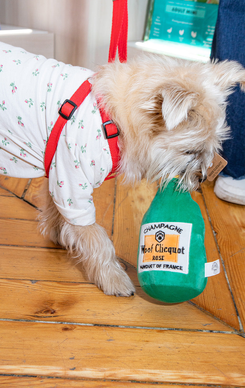 Onlyfresh - Woof Cliquot - Juguete para perros