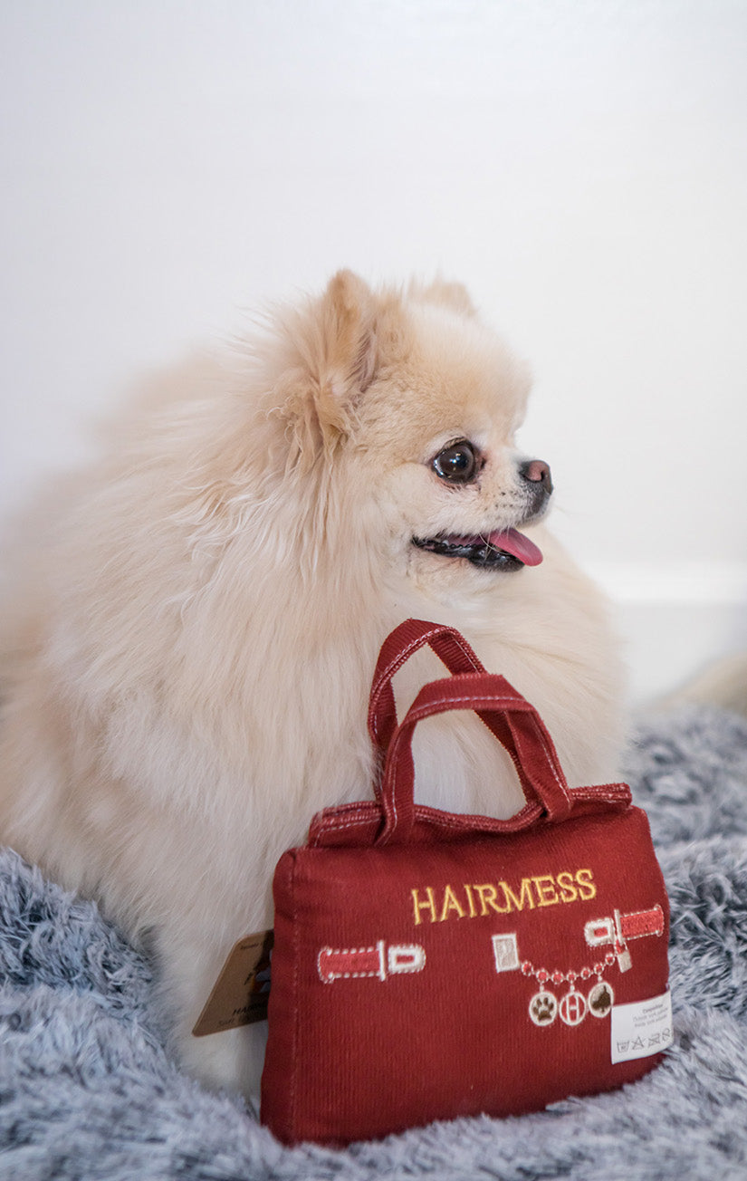 Onlyfresh - Hairmess bolsito - Juguete para perros