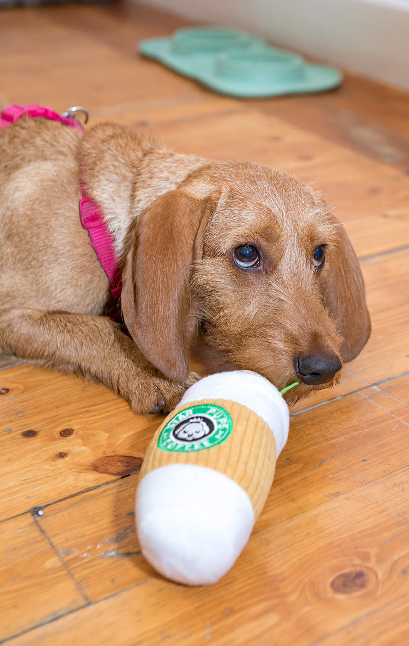 Onlyfresh - Starpups Cafecito - Juguete para perros