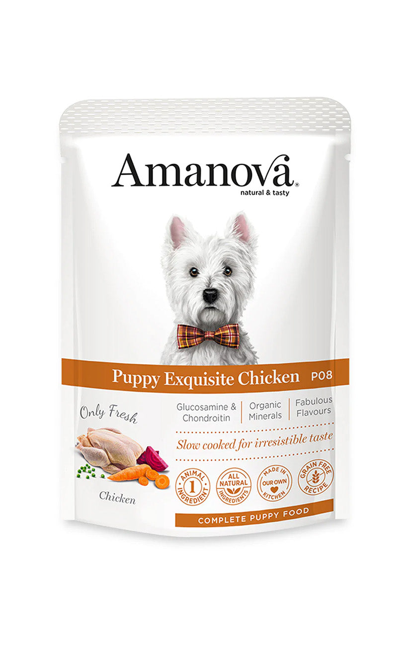 P08 Puppy Exquisite Chicken